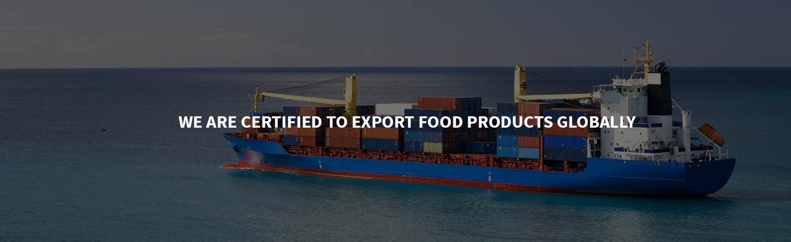 export business in india