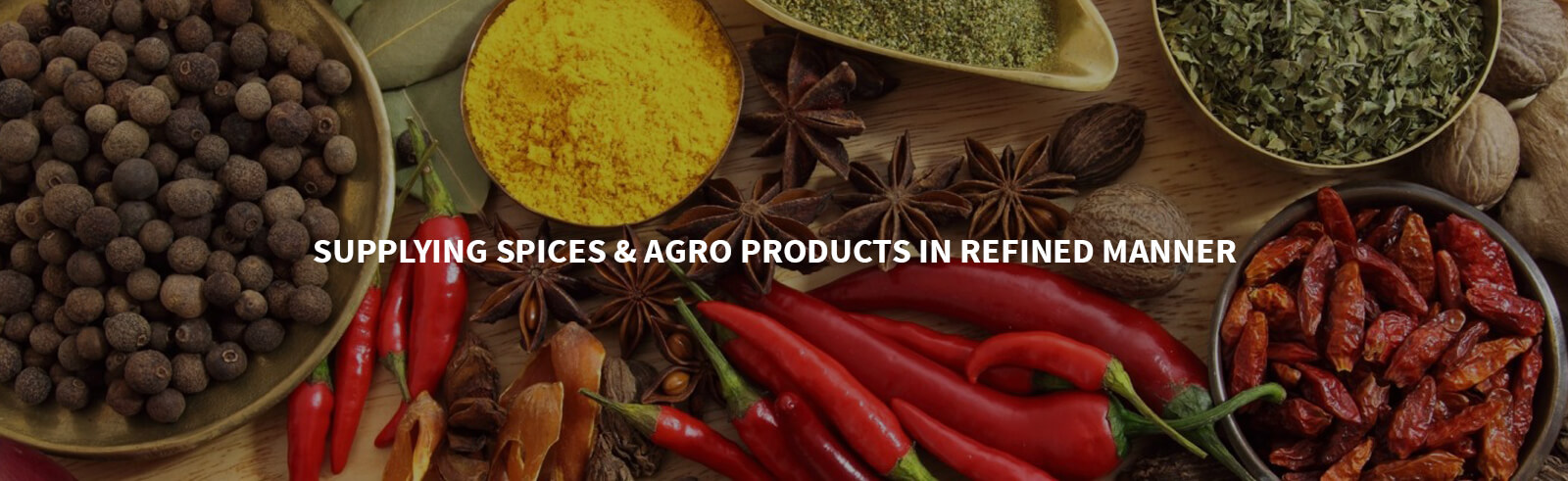 import export business in india